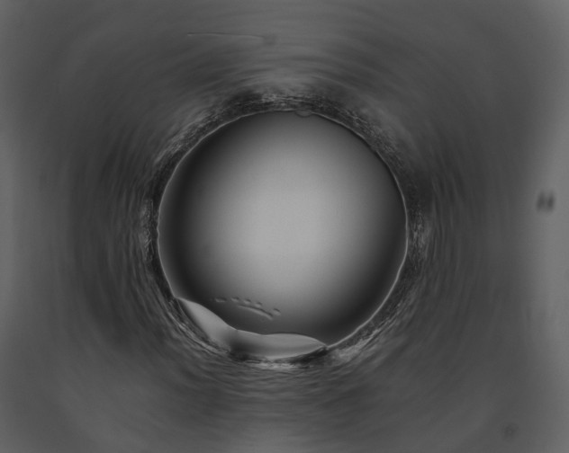 X0000091711012200708241241