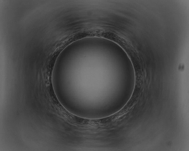 X0000091711013200708241241