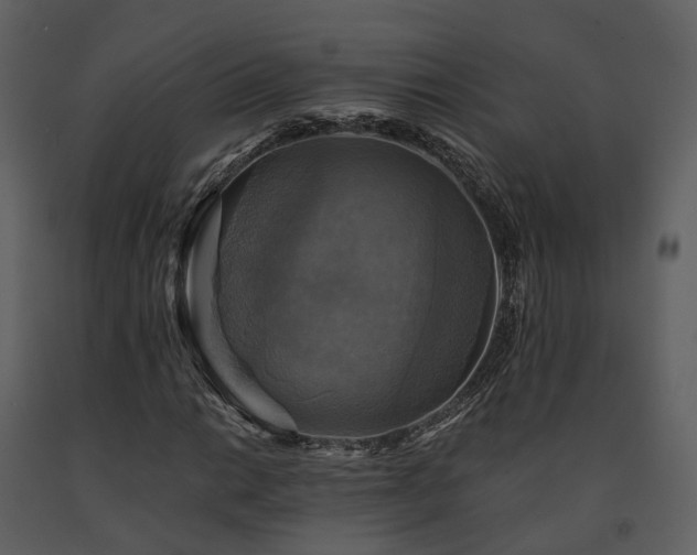 X0000091711014200708241241
