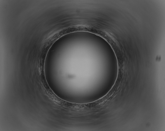 X0000091711015200708241241