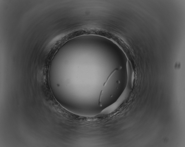 X0000091711016200708241241