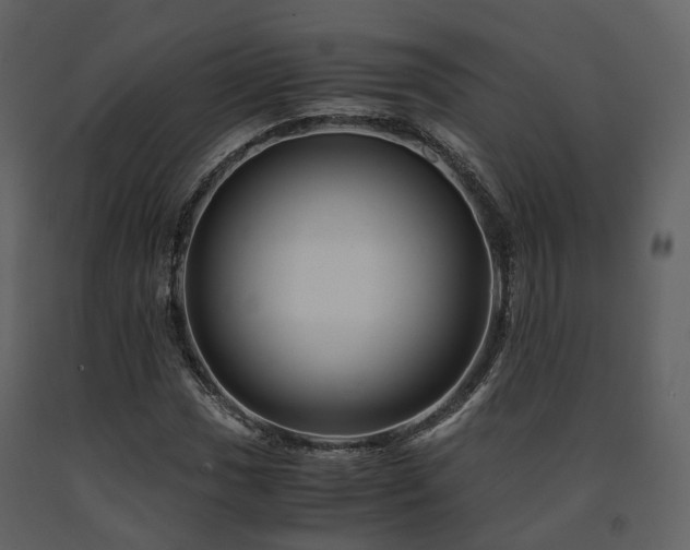 X0000091711017200708241241