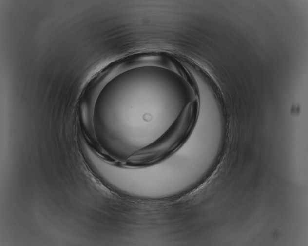 X0000091711018200708241241