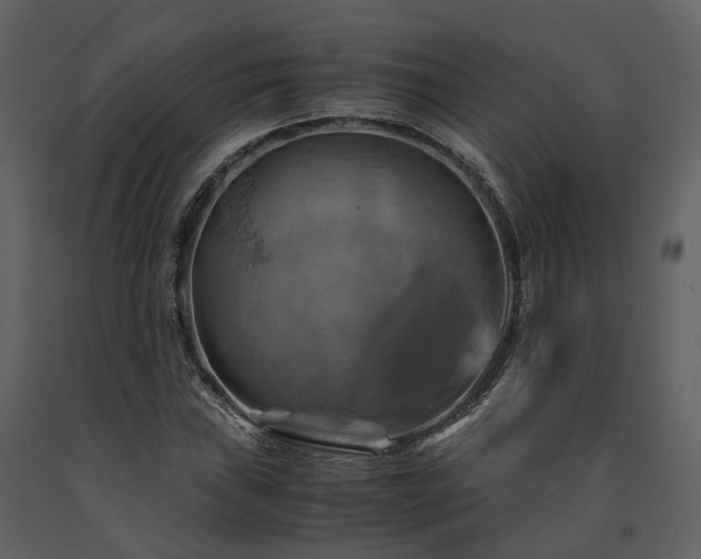 X0000091711019200708241241