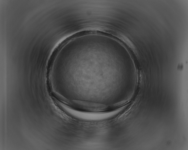 X0000091711020200708241241