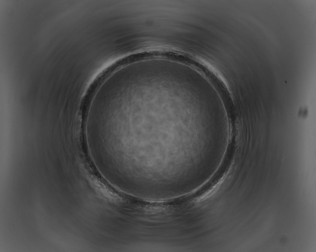 X0000091711021200708241241