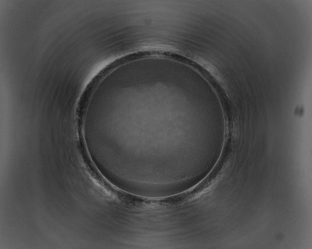X0000091711022200708241242