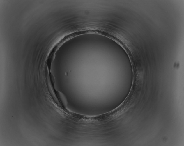 X0000091711023200708241242