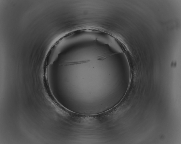 X0000091711024200708241242