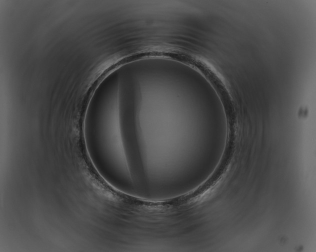X0000091711025200708241242