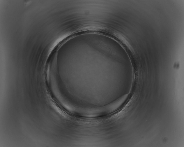 X0000091711026200708241242