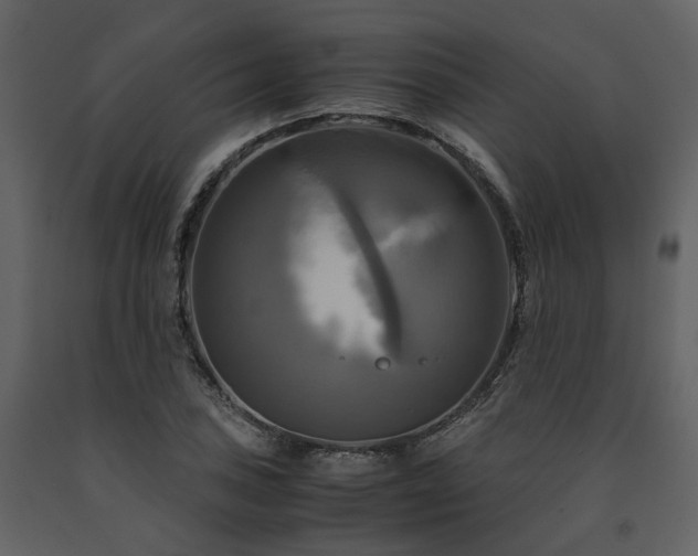 X0000091711027200708241242