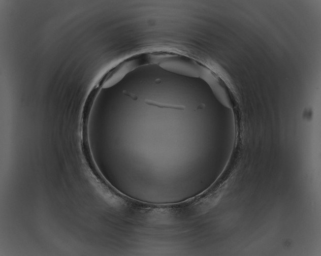 X0000091711028200708241242