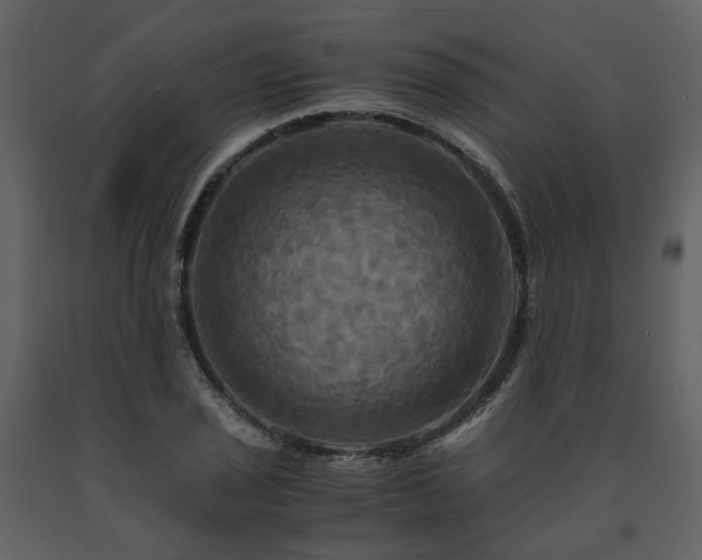 X0000091711029200708241242