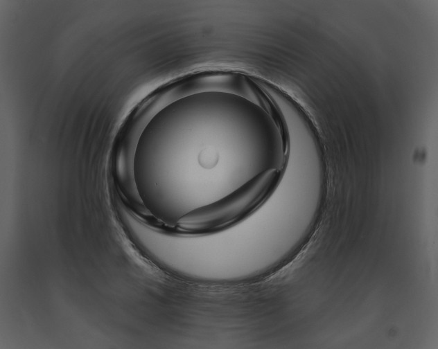 X0000091711030200708241242