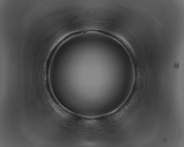 X0000091711031200708241242