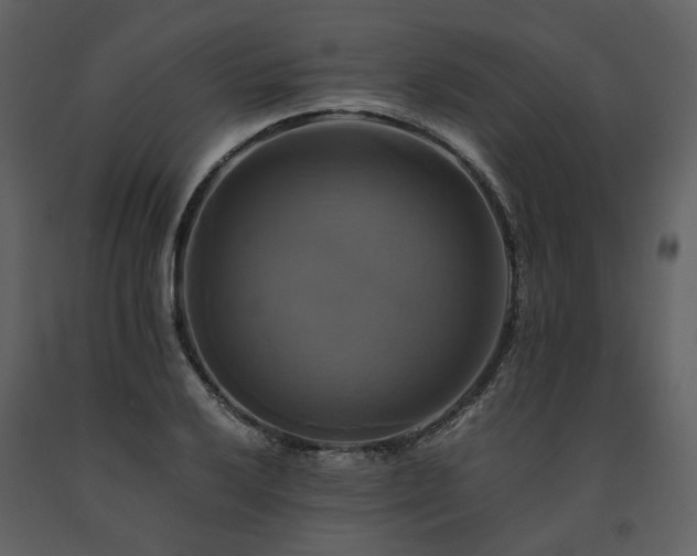 X0000091711032200708241242