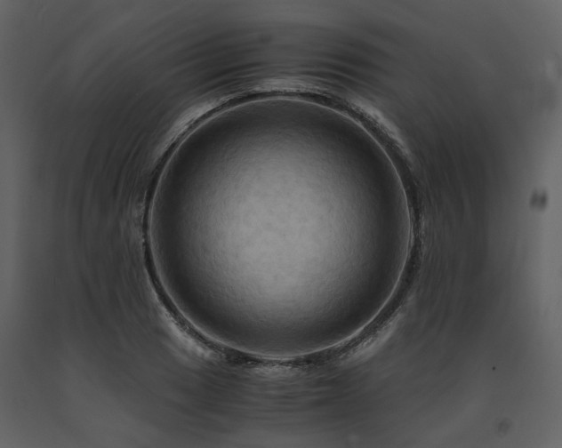 X0000091711033200708241242