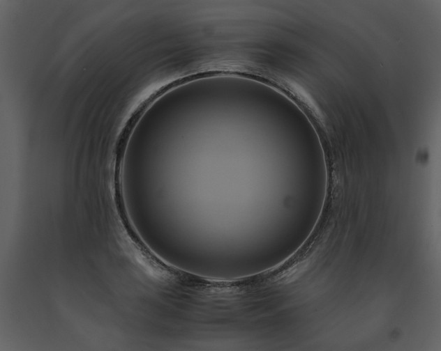 X0000091711035200708241242