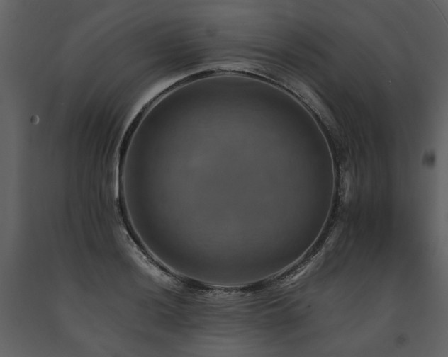 X0000091711036200708241242