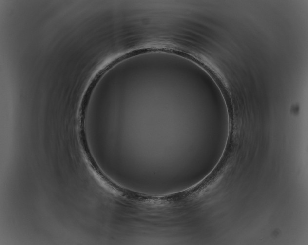 X0000091711037200708241242