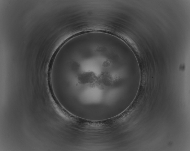 X0000091711039200708241242