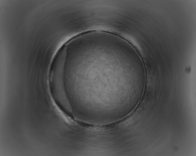 X0000091711040200708241242