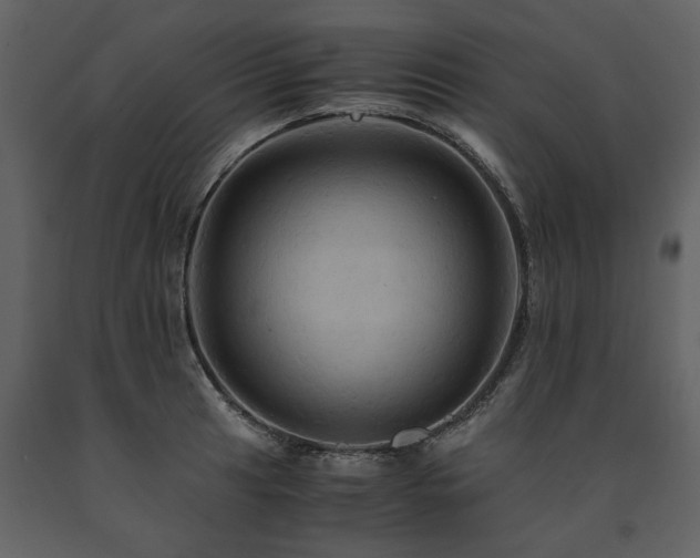 X0000091711041200708241242