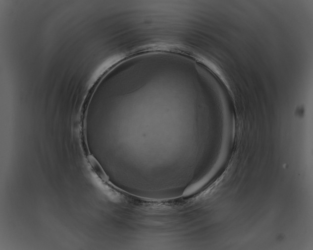 X0000091711042200708241242
