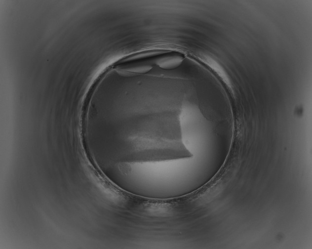X0000091711043200708241242