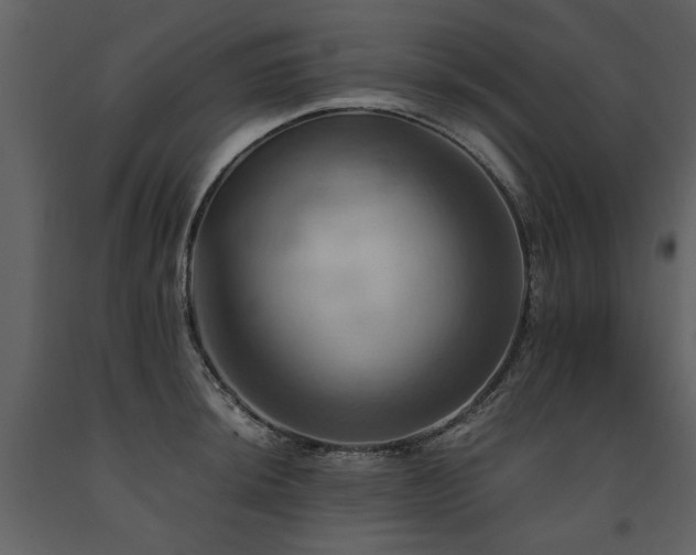 X0000091711044200708241242
