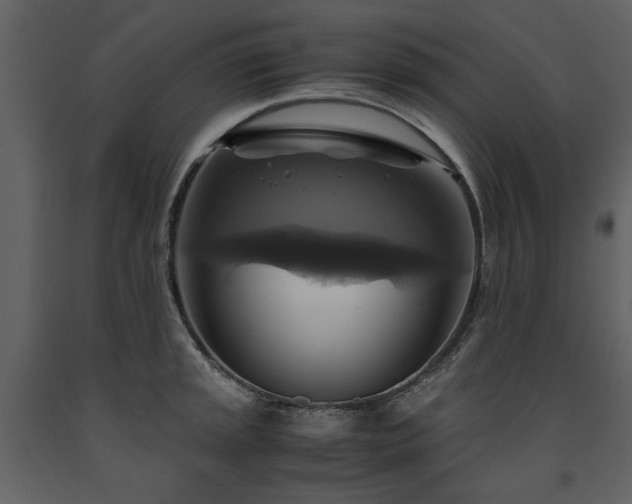X0000091711045200708241242