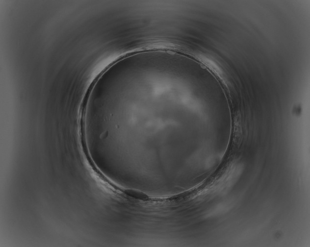 X0000091711047200708241242