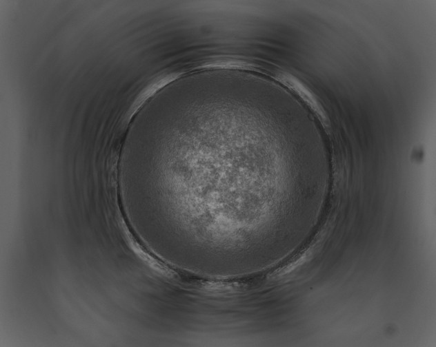 X0000091711049200708241242