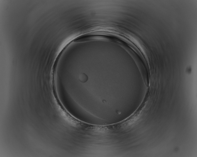 X0000091711050200708241242