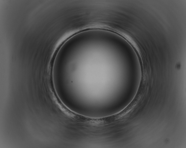 X0000091711053200708241242