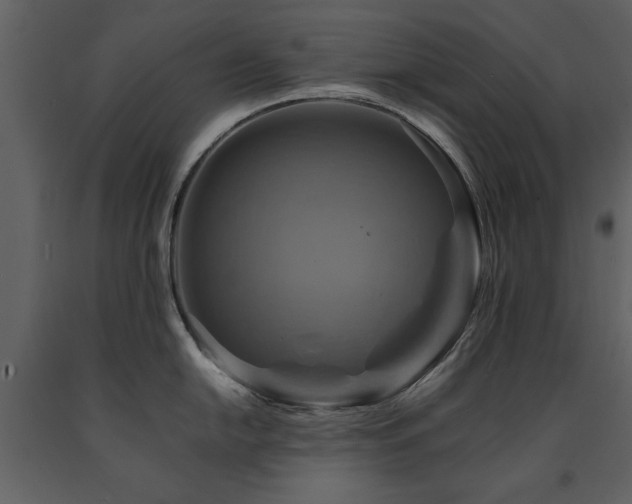 X0000091711054200708241242