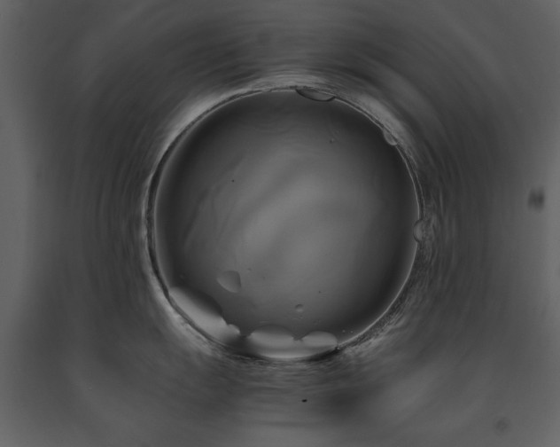 X0000091711055200708241242