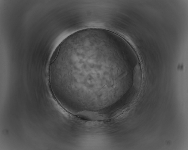 X0000091711056200708241242