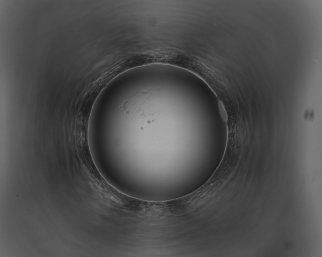 X0000091711058200708241241