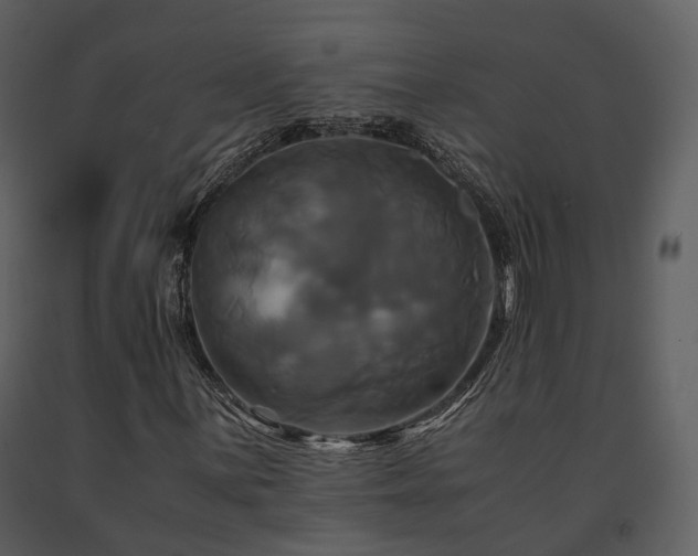 X0000091711059200708241241