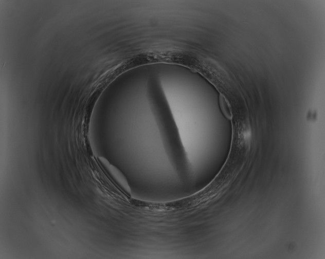 X0000091711060200708241241