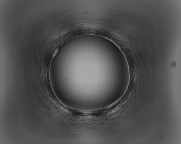 X0000091711061200708241241