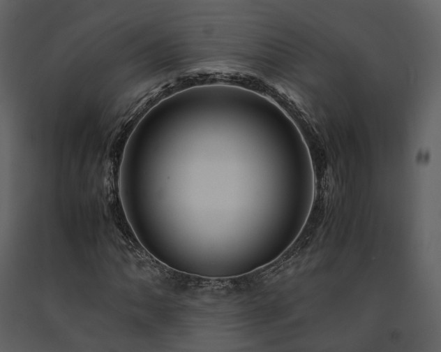 X0000091711062200708241241