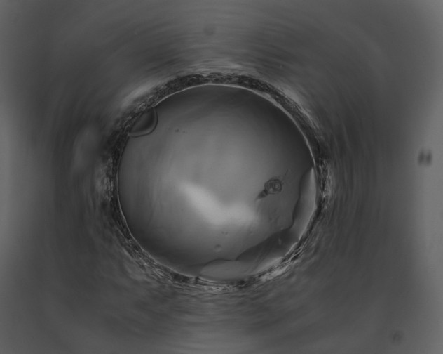 X0000091711063200708241241