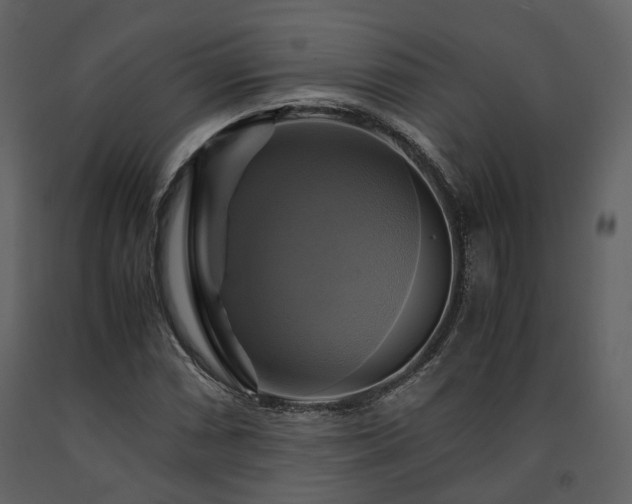 X0000091711066200708241241