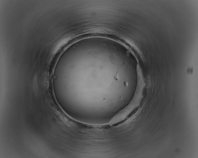 X0000091711067200708241241