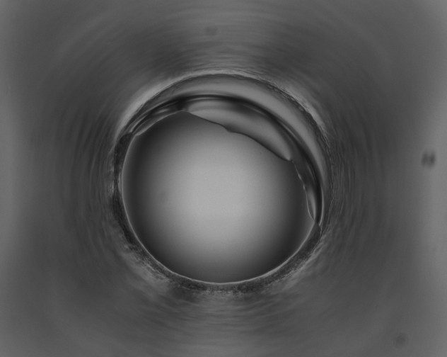 X0000091711069200708241241