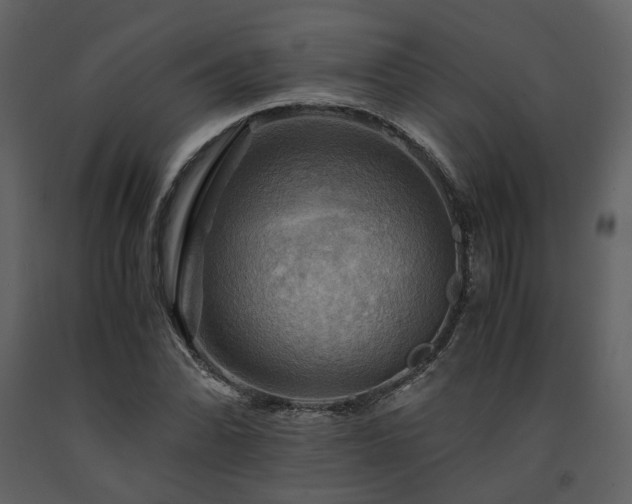 X0000091711070200708241241