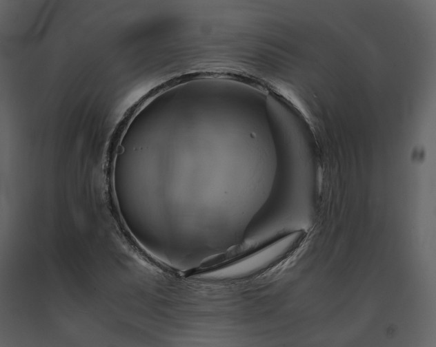 X0000091711071200708241241